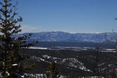 DSC_4996 (Large).JPG